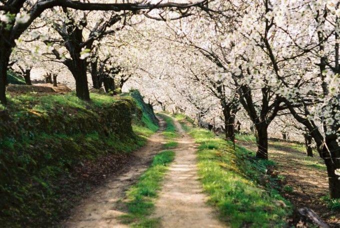 Apartamento Rural San Jorge Bajo Navaconcejo Bagian luar foto